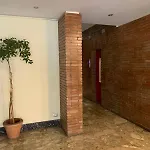 Vivi In Un Attico Tipico Romano Con Vista Su Roma
